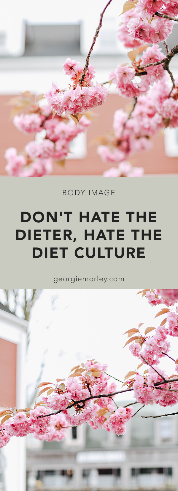 Don't Hate the Dieter, Hate the Diet Culture
